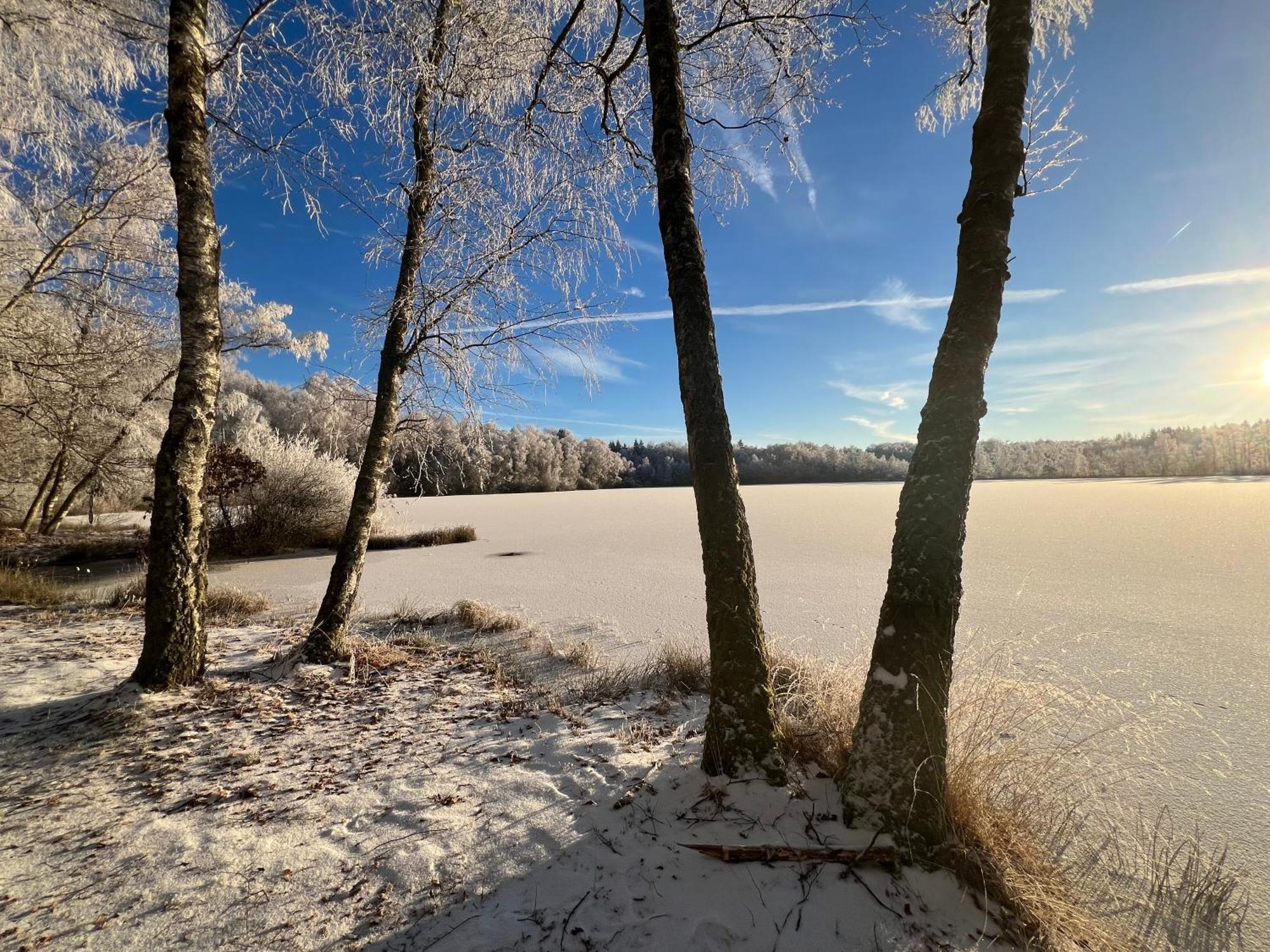 Aux Songes D'Elise Lägenhet Belmont  Exteriör bild