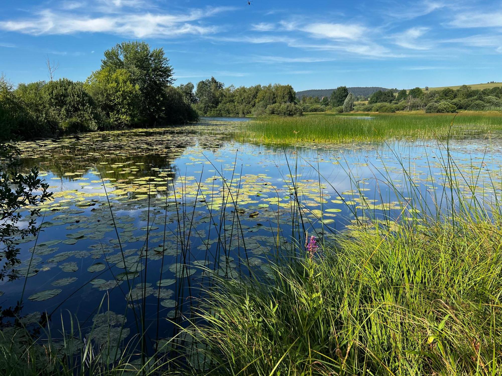 Aux Songes D'Elise Lägenhet Belmont  Exteriör bild