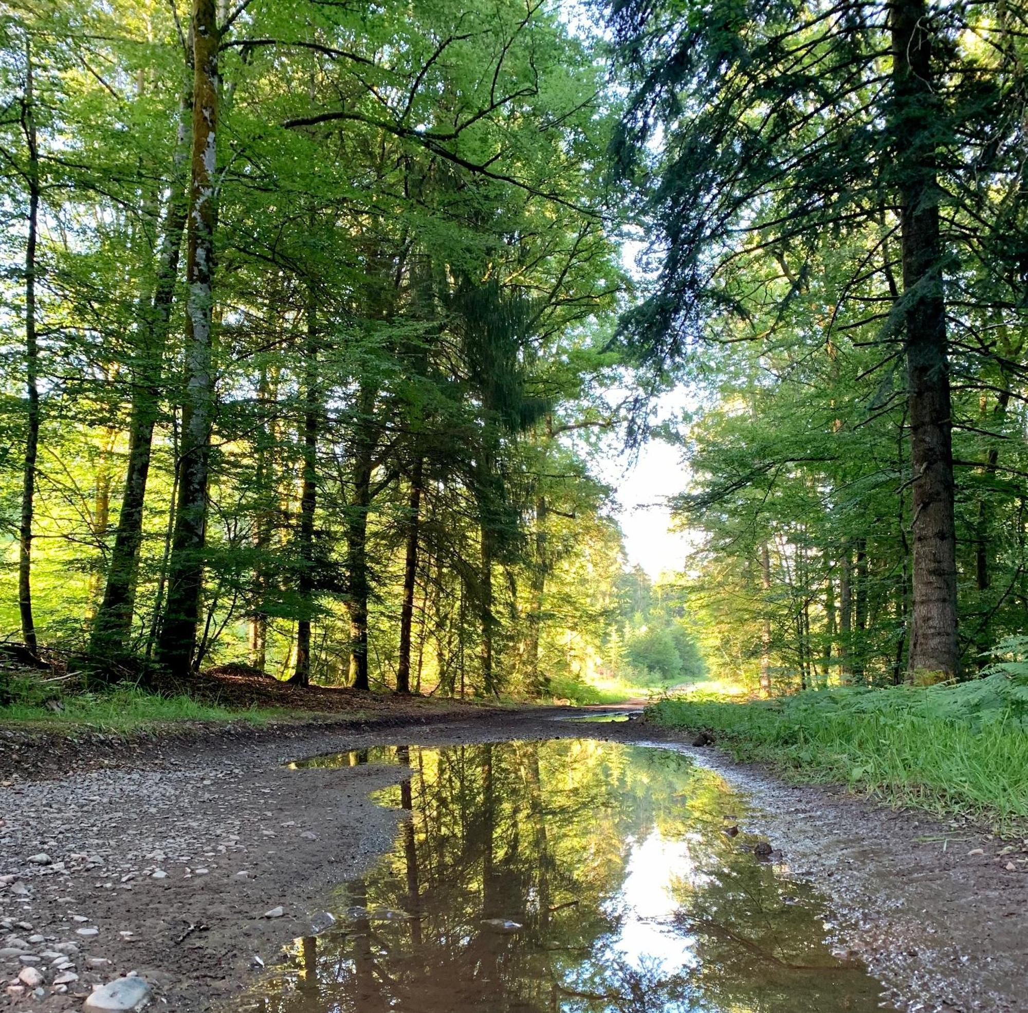 Aux Songes D'Elise Lägenhet Belmont  Exteriör bild
